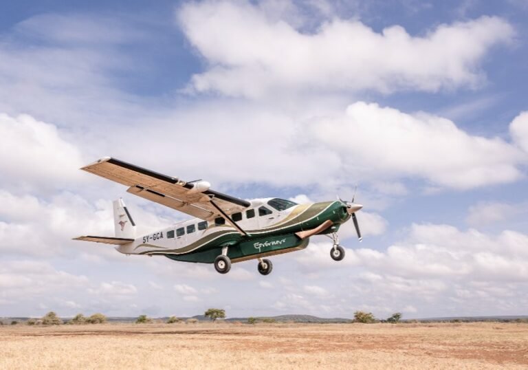 Flight aviation