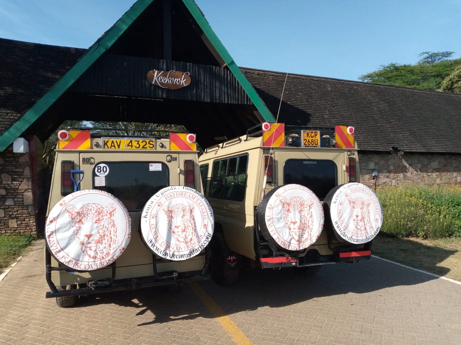 Daydream Safaris